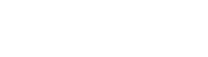 Noesis Interactive